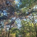 구룡마을회관 | 전북천리길 익산시 제2길 미륵산둘레길 (2025.10.17.)