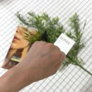 천연화장품 | [이오니아] 호호바오일추천 천연오일로 화장품다이어트 한 후기