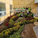 힐링정원 이미지