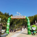 맹종죽테마공원 이미지