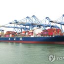 새현대연합의원 이미지