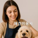 미용사(일반) 자격과정 | 🐾 애견미용사 자격증 완전정복｜공부방법·시험 준비·취업·창업까지 한눈에!