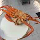 아랑회초밥 | 송파 문정역 초밥뷔페 [쿠우쿠우 송파점] 재방문 의사 없는 (내돈내산) 아쉬웠던 후기