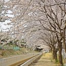 한가로이 경주 이미지