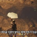아이스캡