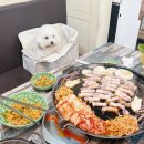 펫마트 강아지 논산점 | 논산 애견동반식당, 강아지 웰컴존 미나리 삼겹살