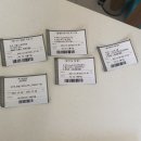 소노캄 델피노C 이미지