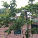 솔마루 민박 이미지