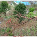 놀부농장 이미지