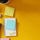 선창초교 이미지