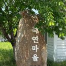 고향 전통 손두부 | [구례여행] 사성암 근처 맛집 집밥 한식:: 60년전통손두부식당