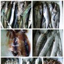 장성중앙시장 이미지