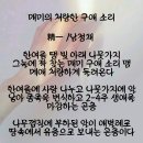 매미의 처량한 구애 소리 이미지