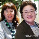 사조미가 이미지