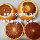 비타민삼춘 - 9518 | 비타민삼춘