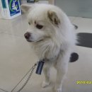 동진동물병원 이미지