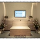 강아지공간 이미지