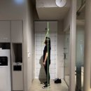 강남역PT| 아고라피트니스 체형교정 자세교정 비포에프터 후기 (가격정보 포함) 강남역헬스장 추천!