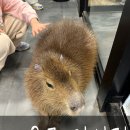 와우쥬 양산점 이미지