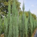 태림농원 이미지