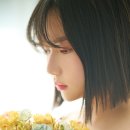 레이드림스튜디오
