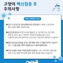윤혜린 - 서구 청라대로 131 | 만에 외출을 해요(러시안블루, 아메리칸숏헤어 고양이 예방접종 후기 feat 부산다솜고양이메디컬센터 본원)