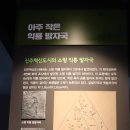 진주 호탄동 익룡ㆍ새ㆍ공룡발자국 화석산지 이미지