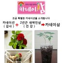 한국시티팜협동조합