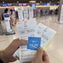 레몬비 곽지해변점 | [제주/애월]2박3일 제주도 태교여행 (feat.애견동반)