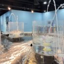 놀이랑과학실험실(생활 속 과학 원리) 이미지