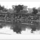 청조원2 이미지