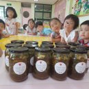 태인초등학교병설유치원 이미지