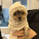 묭데이