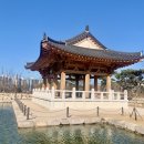 한중우호의숲 이미지