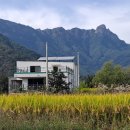 여우목로 이미지