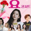 노벨문학도시 장흥 붐업페스타 2025 효 콘서트 이미지