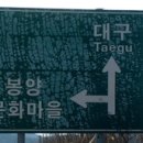 도리원 이미지