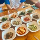 돌캐 이미지