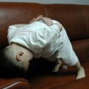 꿩먹고알먹고 이미지