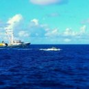 태평양 교역 이미지