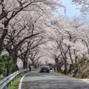 남해인상-기억 이미지