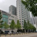 둔산중로-10 이미지