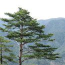 보물창고할인매장