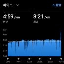 서울마라톤 참후 회복 점검 10km지속주🏃‍♂️ 이미지