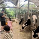 은하목장 이미지