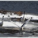 생음악차차차 이미지