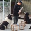 개밥주세요 이미지