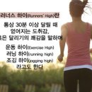 러너스하이