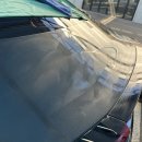 윈그루밍 이미지