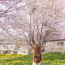 김좌진장군생가 주차장2 이미지